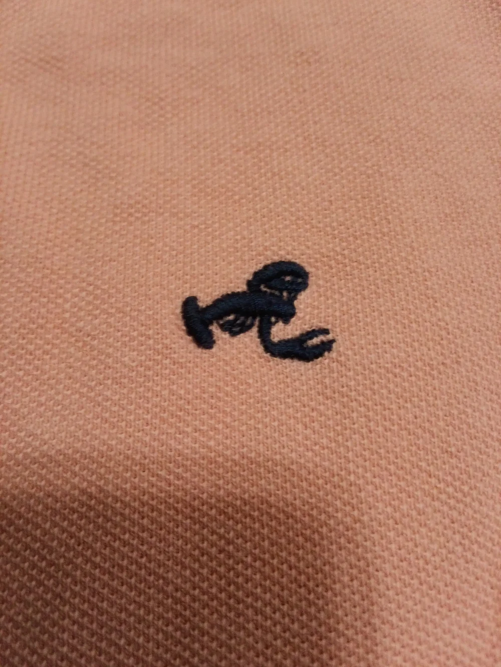 J. Crew Men’s Coral Polo Shirt